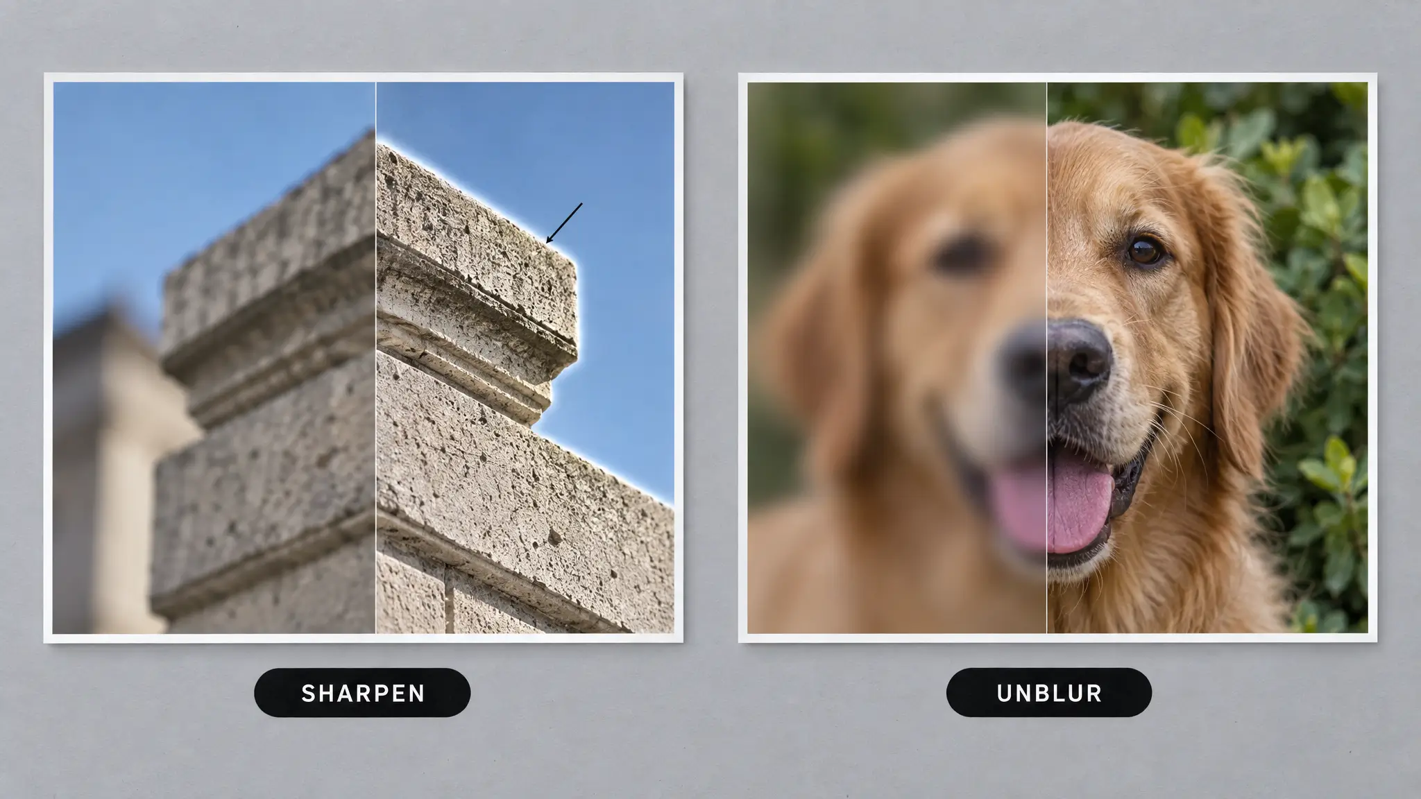 How to Unblur an Image in MagicShot