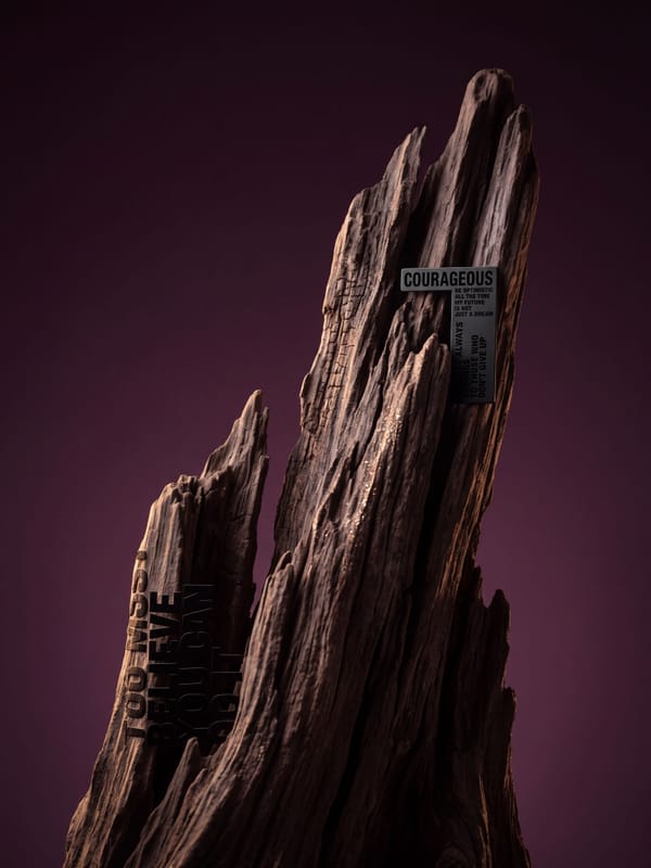 Driftwood Perch