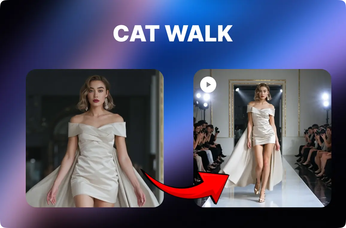 Cat Walk