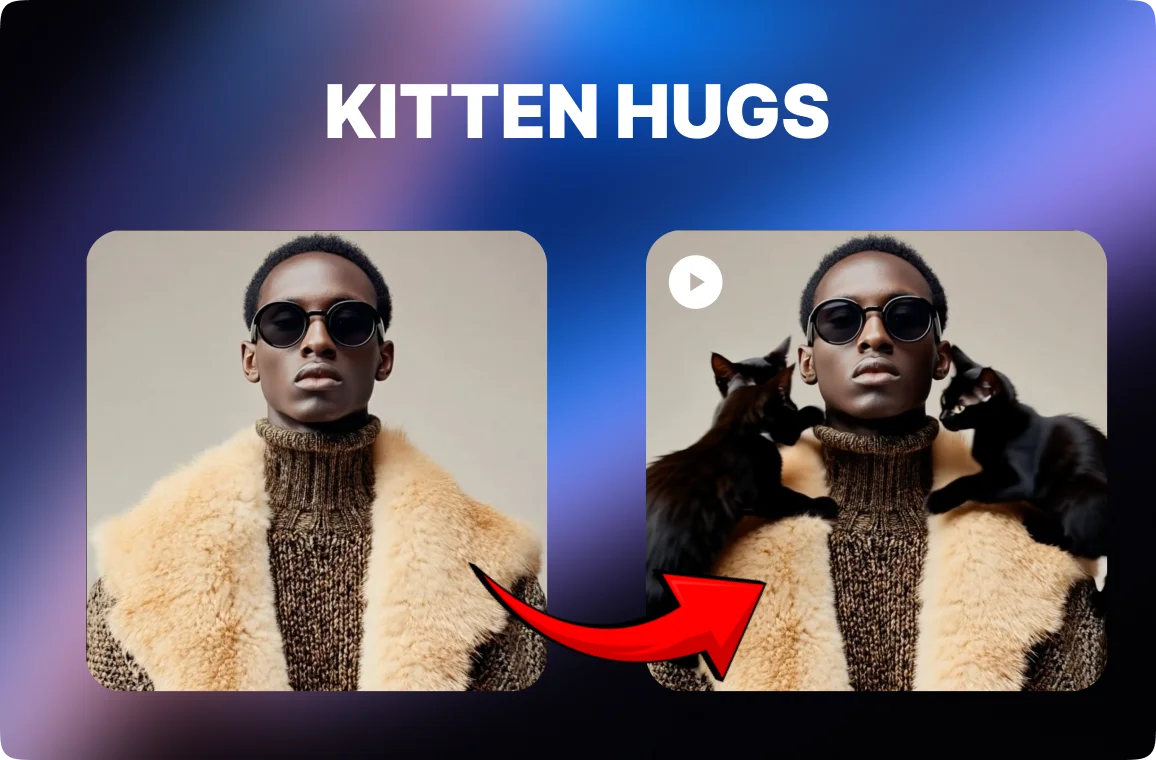Kitten Hug