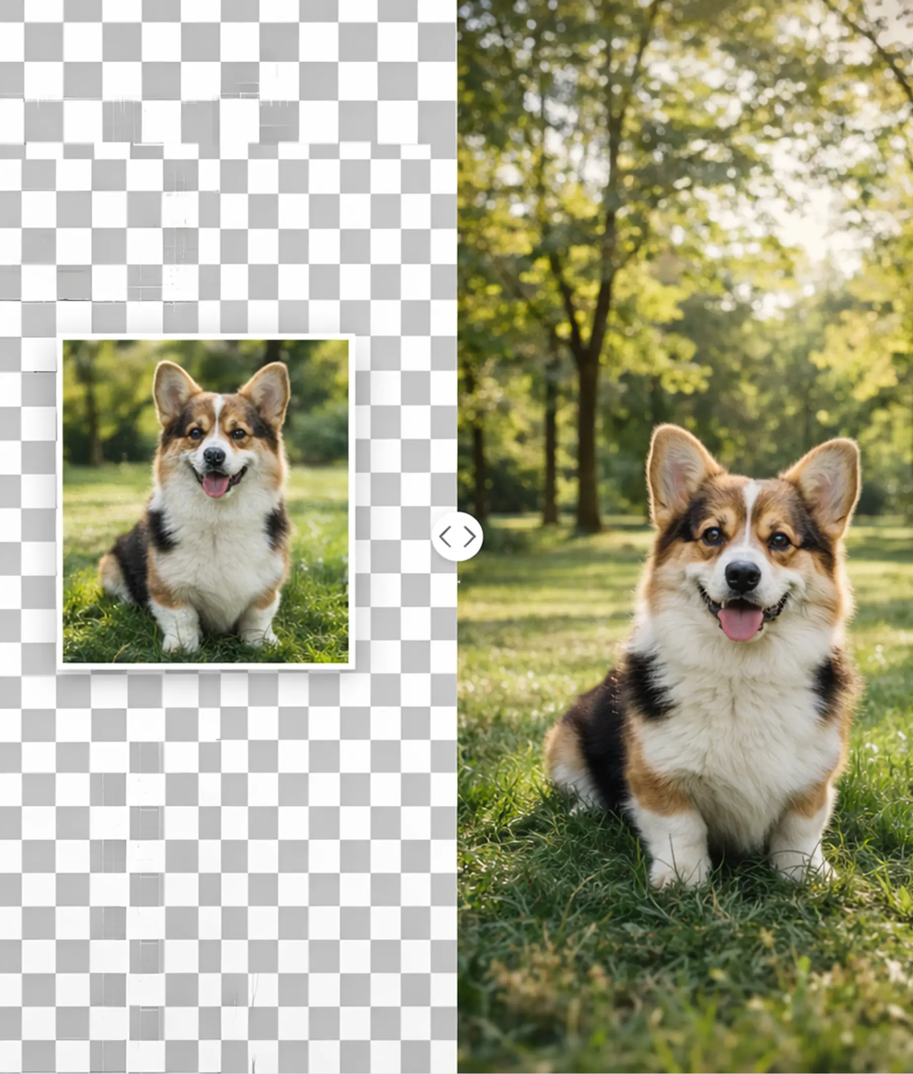 AI image extension expanding dog photo into full park scene with realistic background